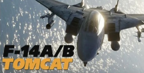 DCS: F-14A/B Tomcat