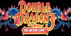 double dragon 3 fighting download