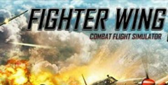 Fighter Wing