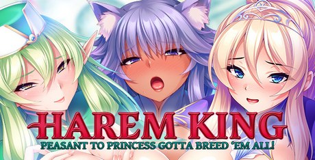 Harem King: Peasant to Princess Gotta Breed ‘Em All!
