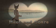 Hunt and Snare