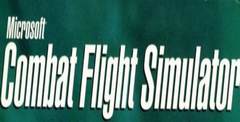 Microsoft Combat Flight Simulator