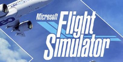 Microsoft Flight Simulator