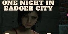 One Night in Badger City