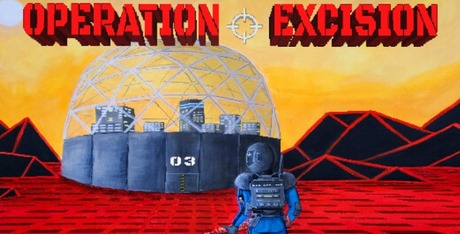 Operation Excision