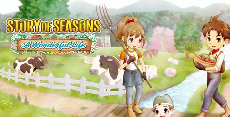 STORY OF SEASONS: A Wonderful Life