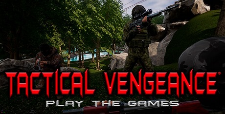 Tactical Vengeance: Play The Game
