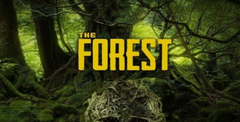 Sons of the Forest Download - GameFabrique