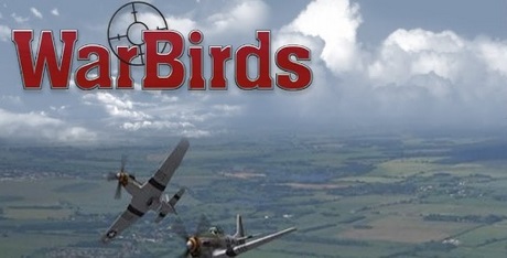 War Birds