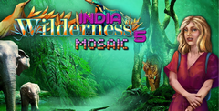 Wilderness Mosaic 5: India