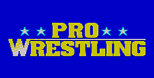 Pro Wrestling