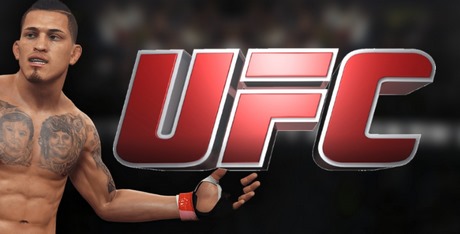 UFC Series