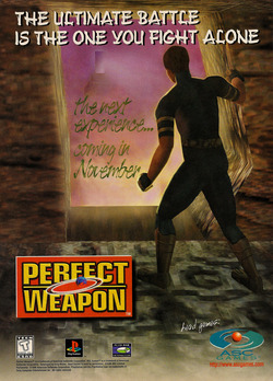 Perfect Weapon Poster
