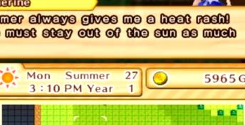Harvest Moon: The Lost Valley 3DS Screenshot