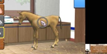 Horse Vet 3D 3DS Screenshot