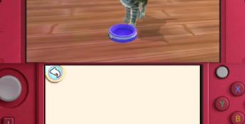 I Love my Cats