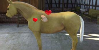 I Love my Horse 3DS Screenshot