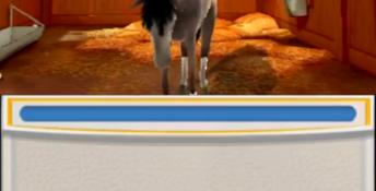My Riding Stables 3D: Jumping for the Team 3DS Screenshot