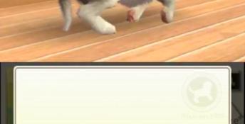 Nintendogs + Cats: French Bulldog & New Friends 3DS Screenshot