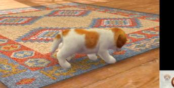 Nintendogs + Cats: Golden Retriever & New Friends 3DS Screenshot