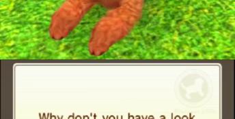Nintendogs + Cats: Toy Poodle & New Friends 3DS Screenshot