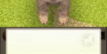 Nintendogs + Cats: Toy Poodle & New Friends 3DS Screenshot