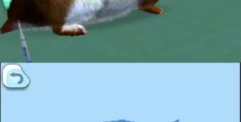 Pet Hospital 3DS Screenshot