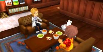Story of Seasons: Trio of Towns 3DS Screenshot