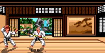 Budokan: The Martial Spirit DOS Screenshot