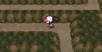 Pokemon Black and White DS Screenshot