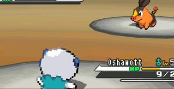 Pokemon - Black Version DS Screenshot