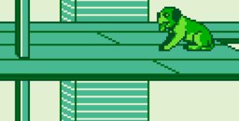 Beethoven: The Ultimate Canine Caper Gameboy Screenshot
