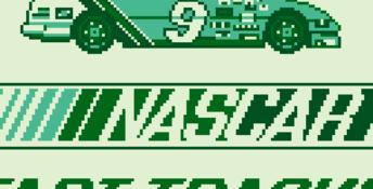 Bill Elliott's NASCAR Fast Tracks Gameboy Screenshot