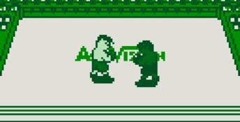 Heavyweight Championship Boxing Gameboy Screenshot