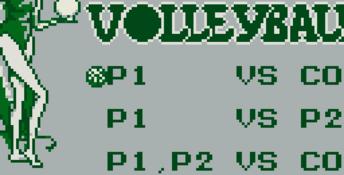 Malibu Beach Volleyball Gameboy Screenshot