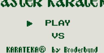 Master Karateka Gameboy Screenshot