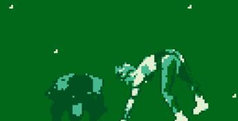 Mortal Kombat Gameboy Screenshot