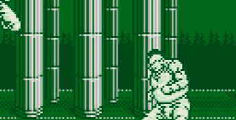 Outburst Gameboy Screenshot