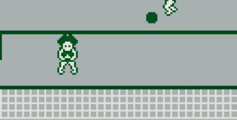 Sports Collection Gameboy Screenshot