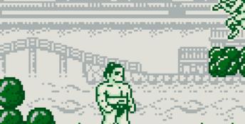 Sumo Fighter Gameboy Screenshot