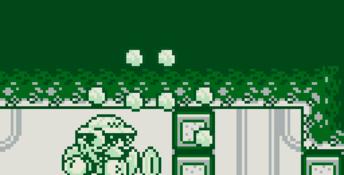 Super Mario Land 3: Wario Land Gameboy Screenshot