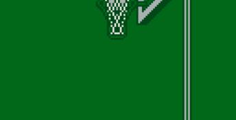 Super Street Basketball Gameboy Screenshot