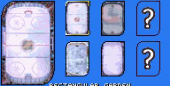 Backyard Hockey GBA Screenshot
