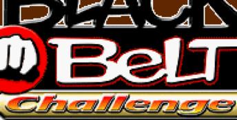 Black Belt Challenge GBA Screenshot