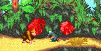 Donkey Kong Country GBA Screenshot