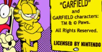 Garfield: The Search for Pooky GBA Screenshot