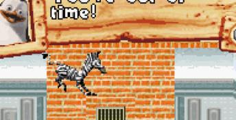 Madagascar GBA Screenshot