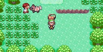 Pokemon Emerald Randomizer Download - GameFabrique