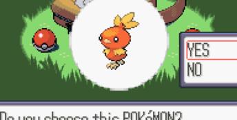 Pokemon Ruby GBA Screenshot