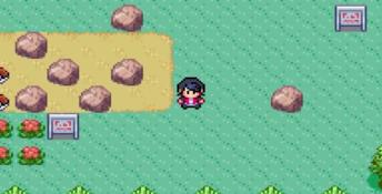 Pokemon Snakewood